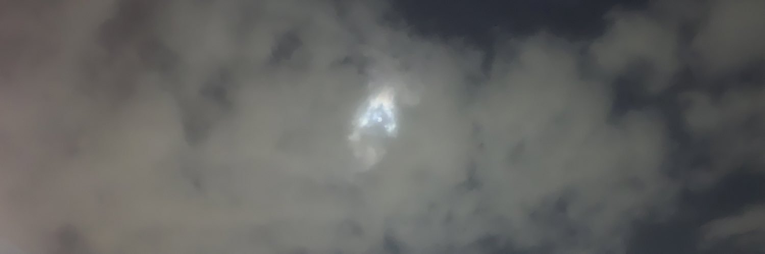 IceBear banner