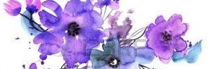 janirh's profile banner image