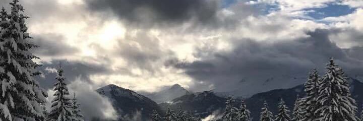 Amber_Cotgreave's profile banner image
