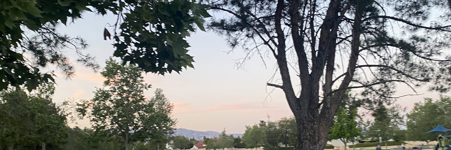 morganeebow's profile banner image