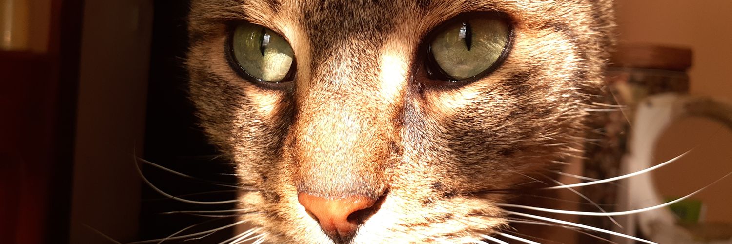 NavarreteAguss's profile banner image