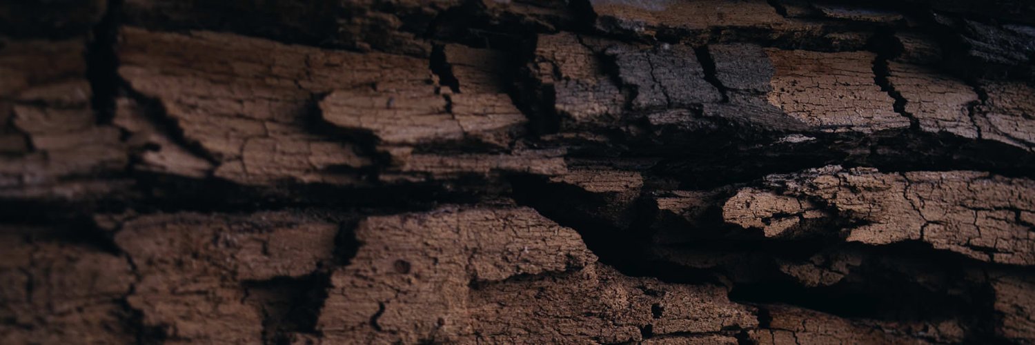 Steven Alexander banner