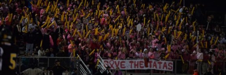 CavsSection's profile banner image