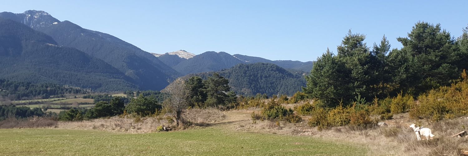 Román Freixa Pamias banner