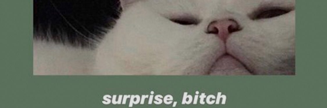 daviddsandd's profile banner image