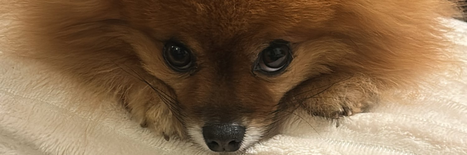 solenevlt's profile banner image