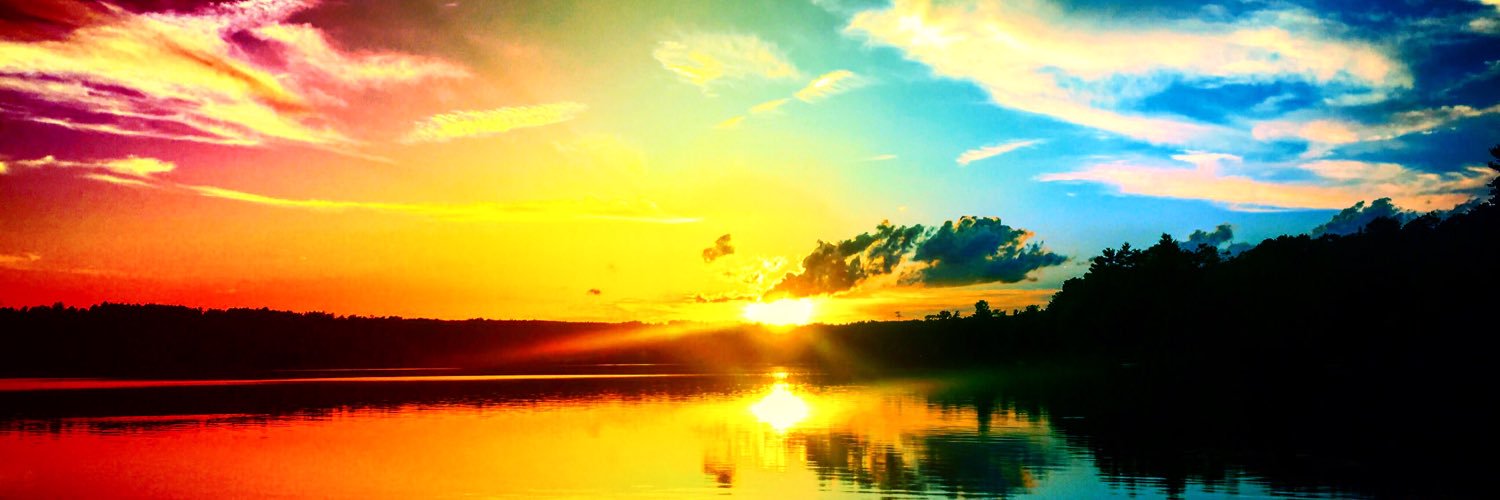 Soheil Maleki banner