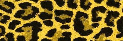 junjun4141m's profile banner image