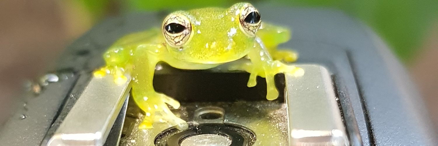 the_averageuser's profile banner image