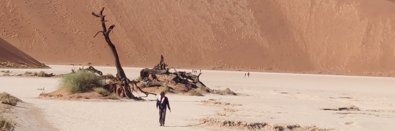 debjanim's profile banner image