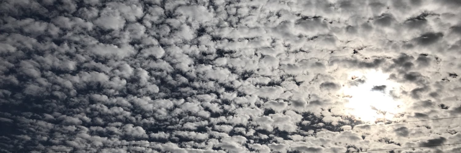 LouieBroccoli's profile banner image