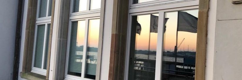 eledsora's profile banner image