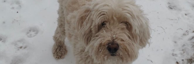 abbeeyylee's profile banner image