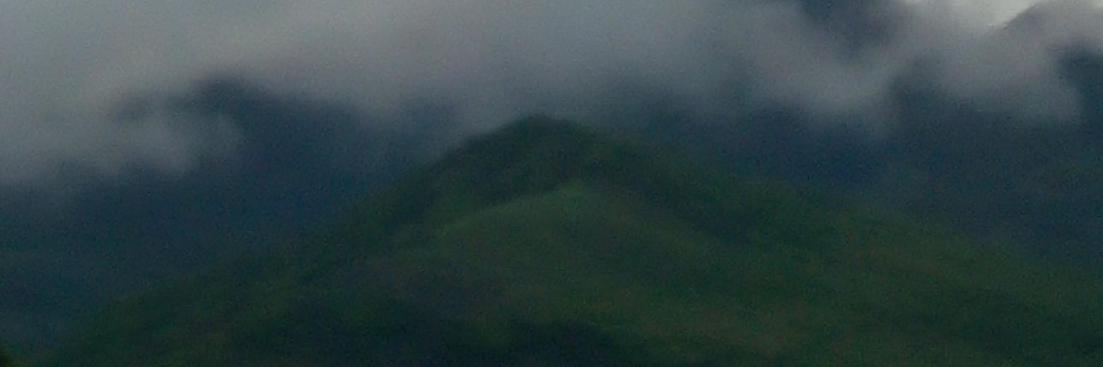 lecilda2's profile banner image