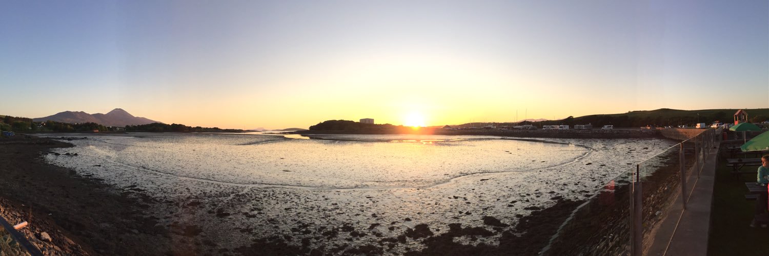 Paddy McMahon 🐝 banner