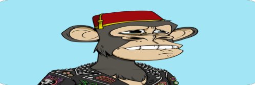 Neracoon's profile banner image