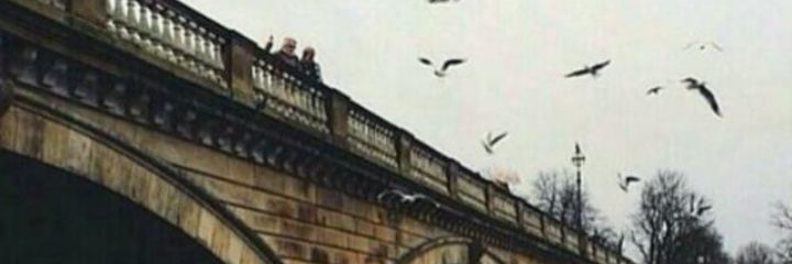 Rana_664's profile banner image