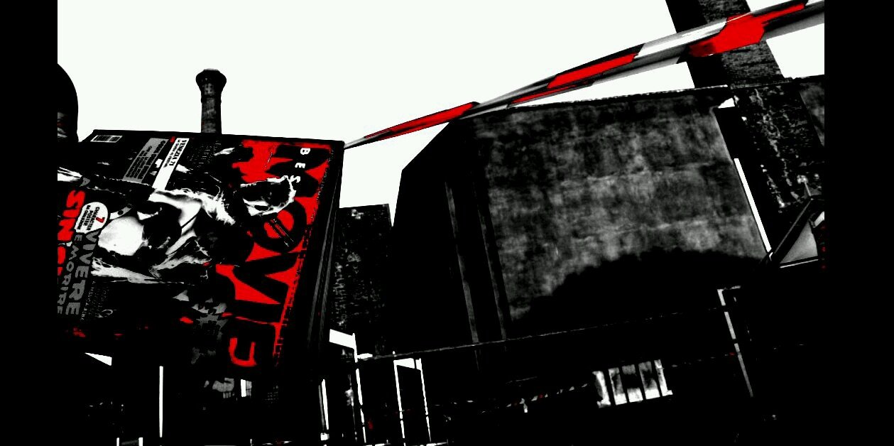 stenodibe's profile banner image