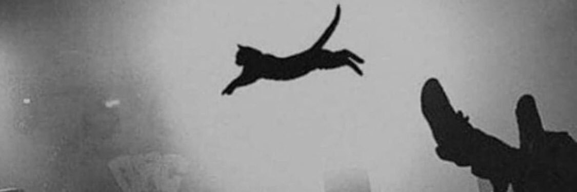 punky 👻🎃✨🧙‍♀️ banner