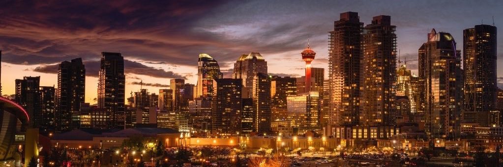 MTimmis's profile banner image