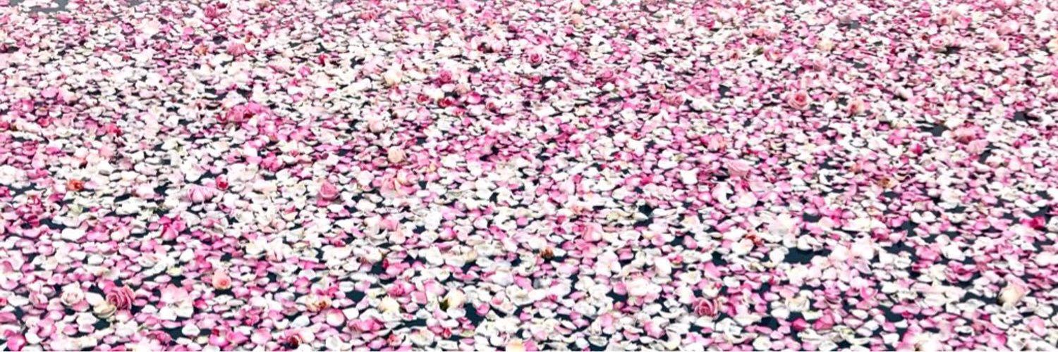 _Kandis's profile banner image