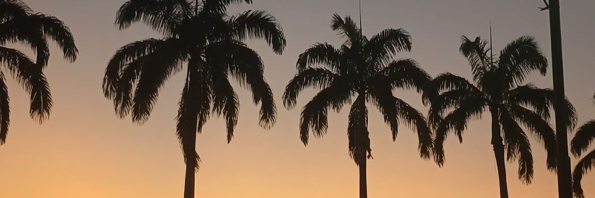 jenniffigue's profile banner image
