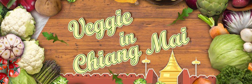 veggieincm's profile banner image