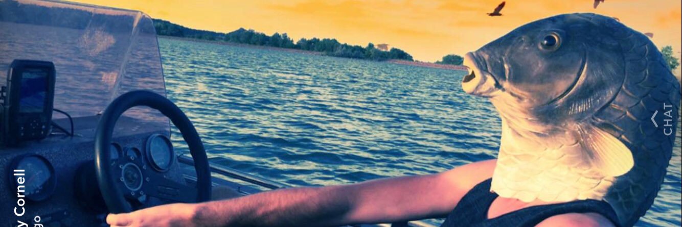 m_fosdick's profile banner image