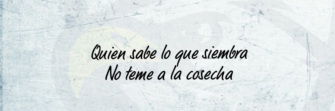 franchoproca's profile banner image