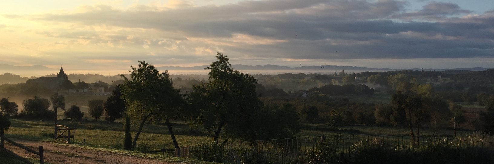 William L. D. Krenzer, Ph.D. banner