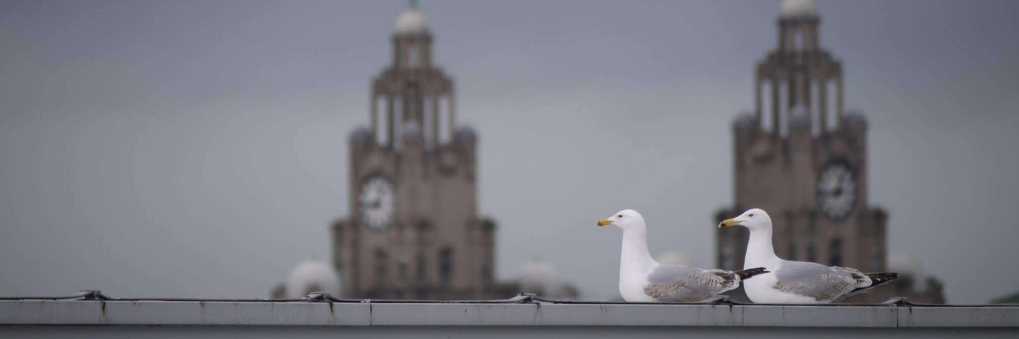 ScribeUK's profile banner image