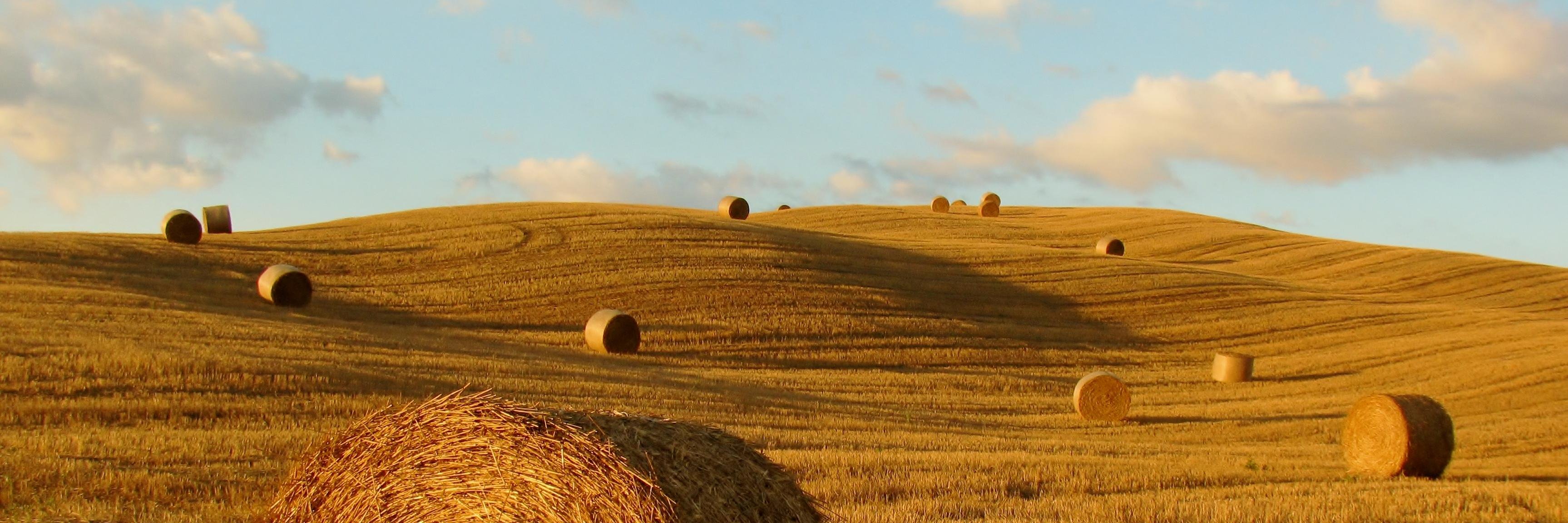 aittamiddis's profile banner image