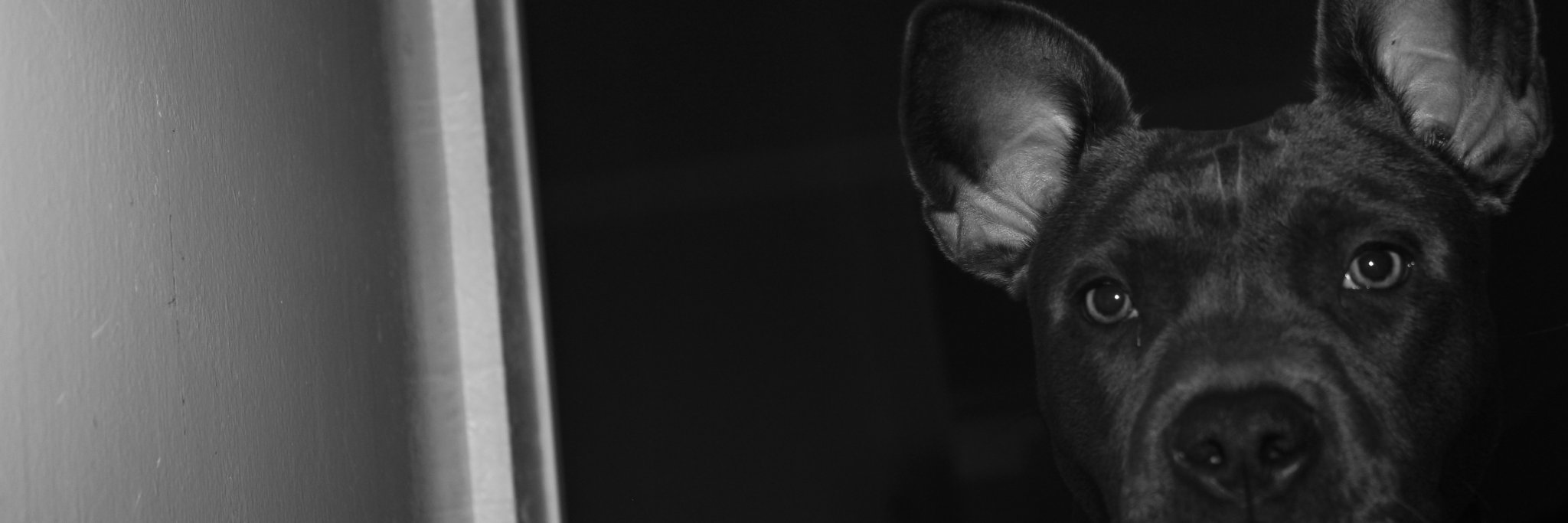 frvnk_'s profile banner image