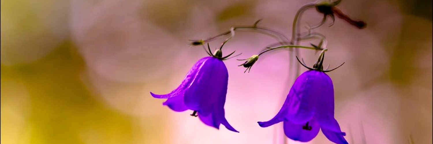 Наталья Угольникова banner