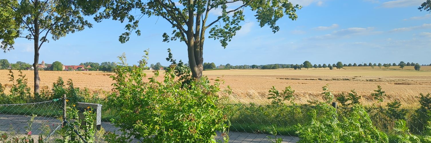 Lotte Laloire banner