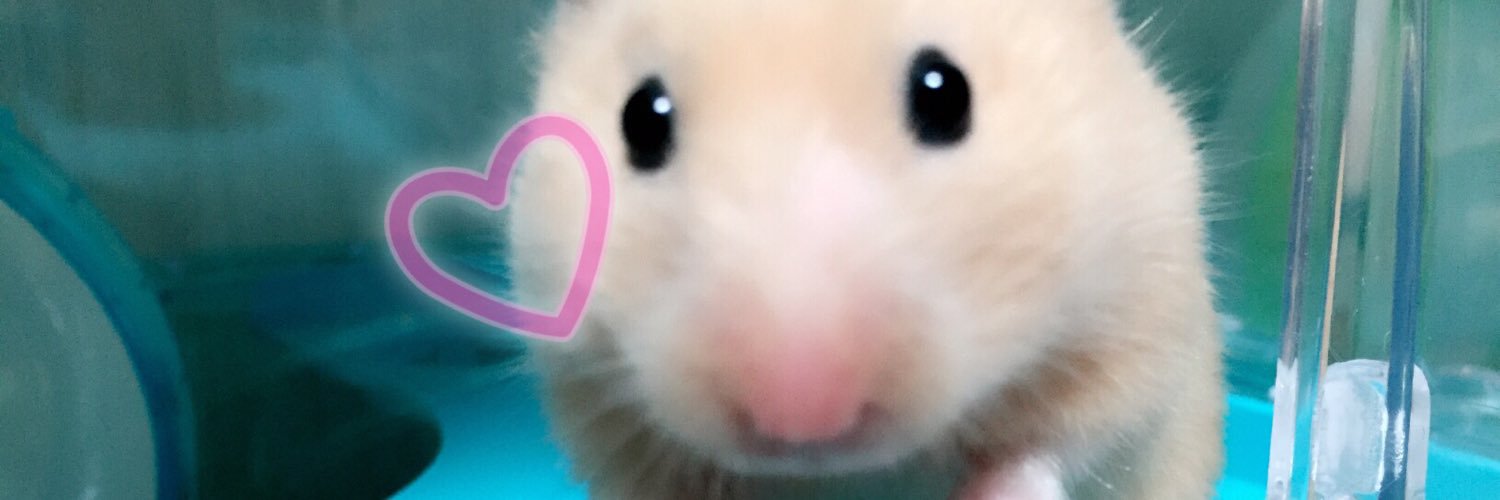 o0O_misa's profile banner image