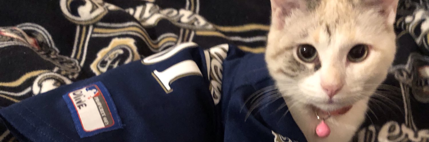 willtoetz's profile banner image