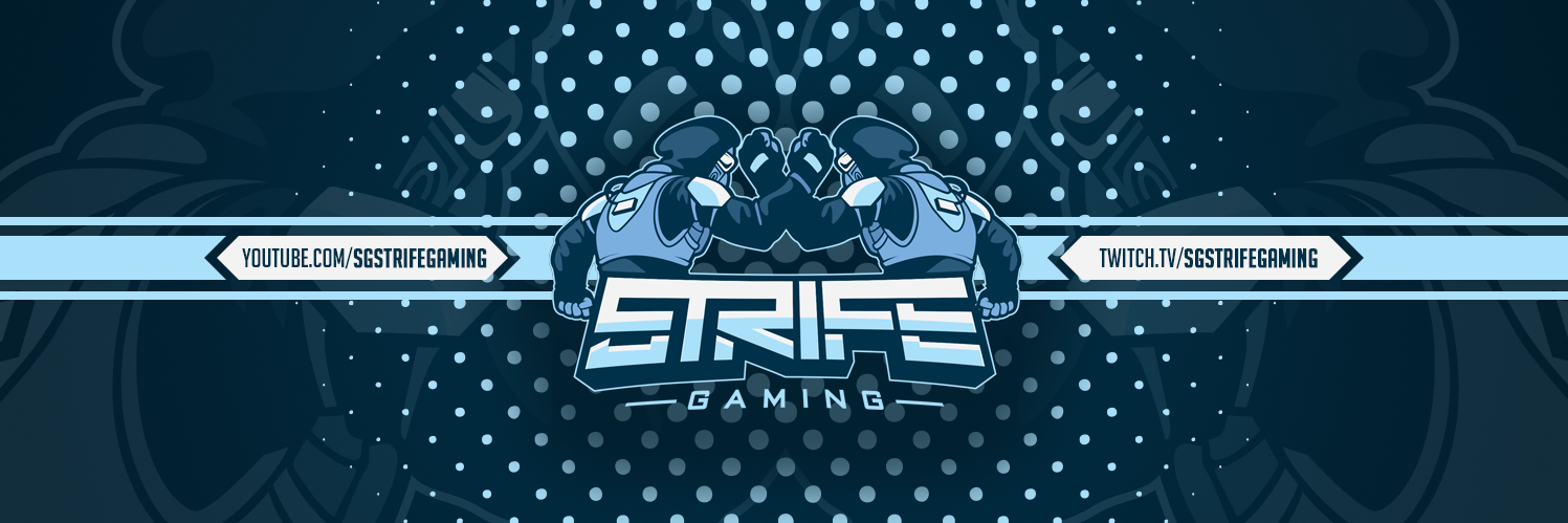 SGStrifeGaming's profile banner image
