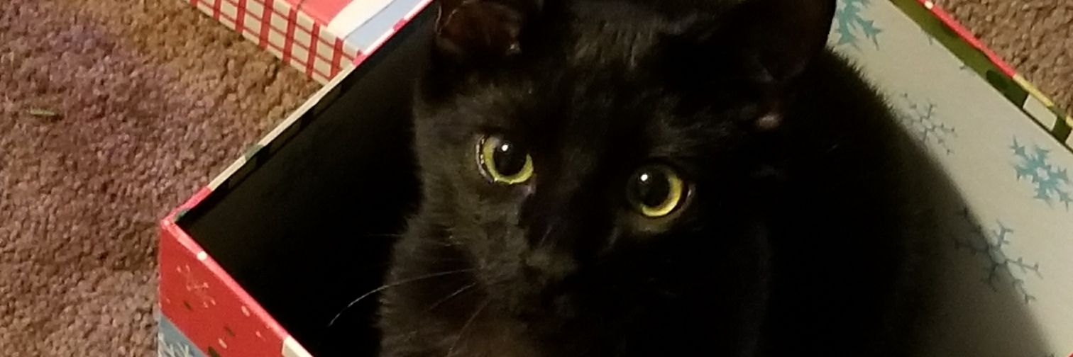 fluteplayer292's profile banner image