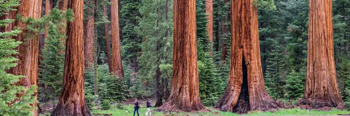 Shamsa B 🌦 banner