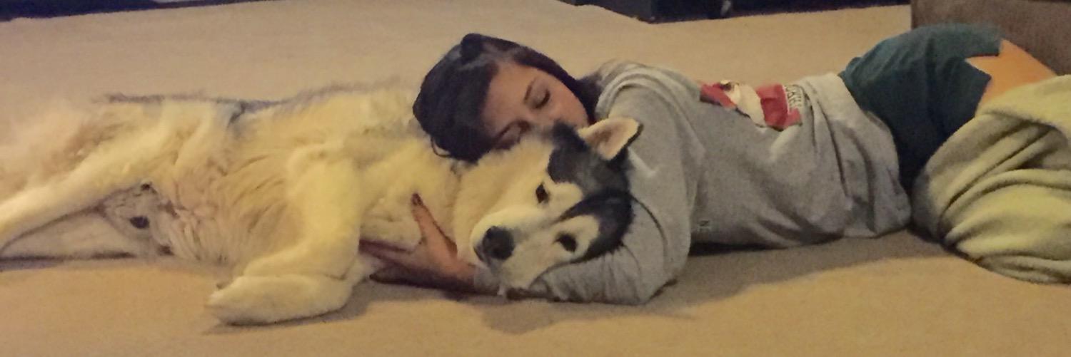 Babydev__'s profile banner image