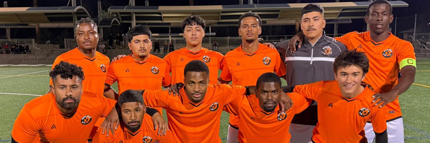 L.A. Wolves FC banner