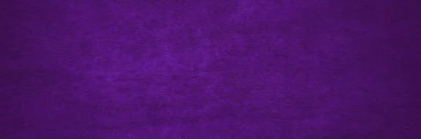 Camila Avilés Barraza banner