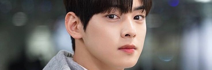 Aerleunam's profile banner image