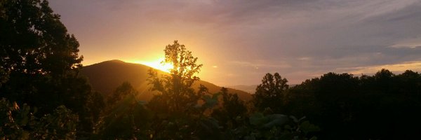 AnkidaRidge Profile Banner