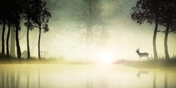 betroyed's profile banner image
