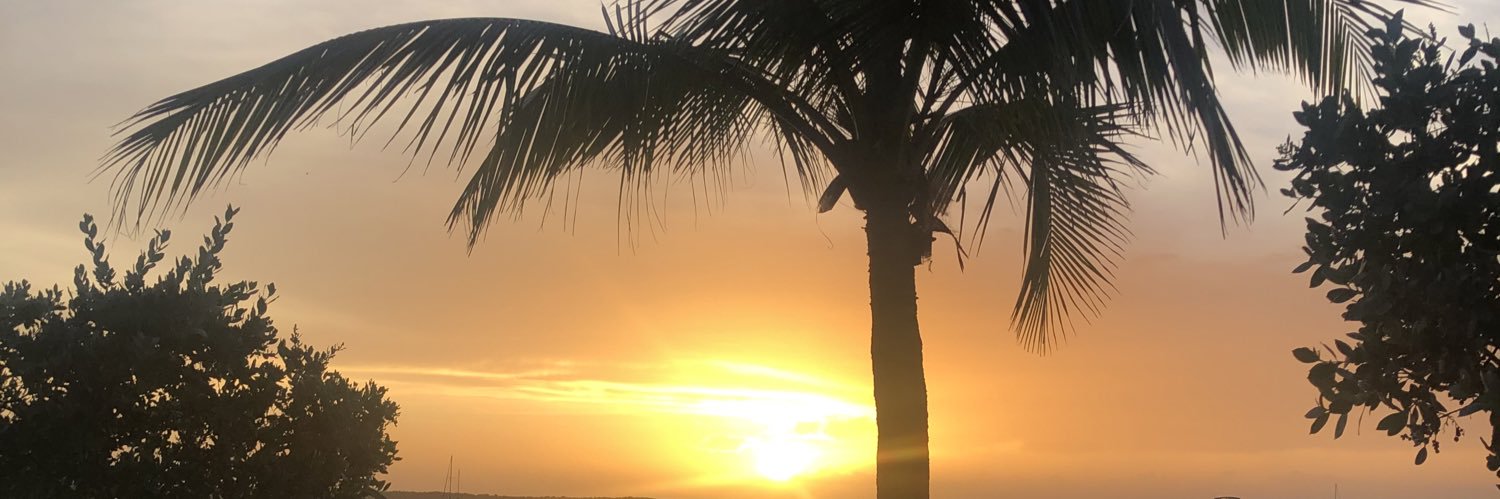 megan__morrow's profile banner image