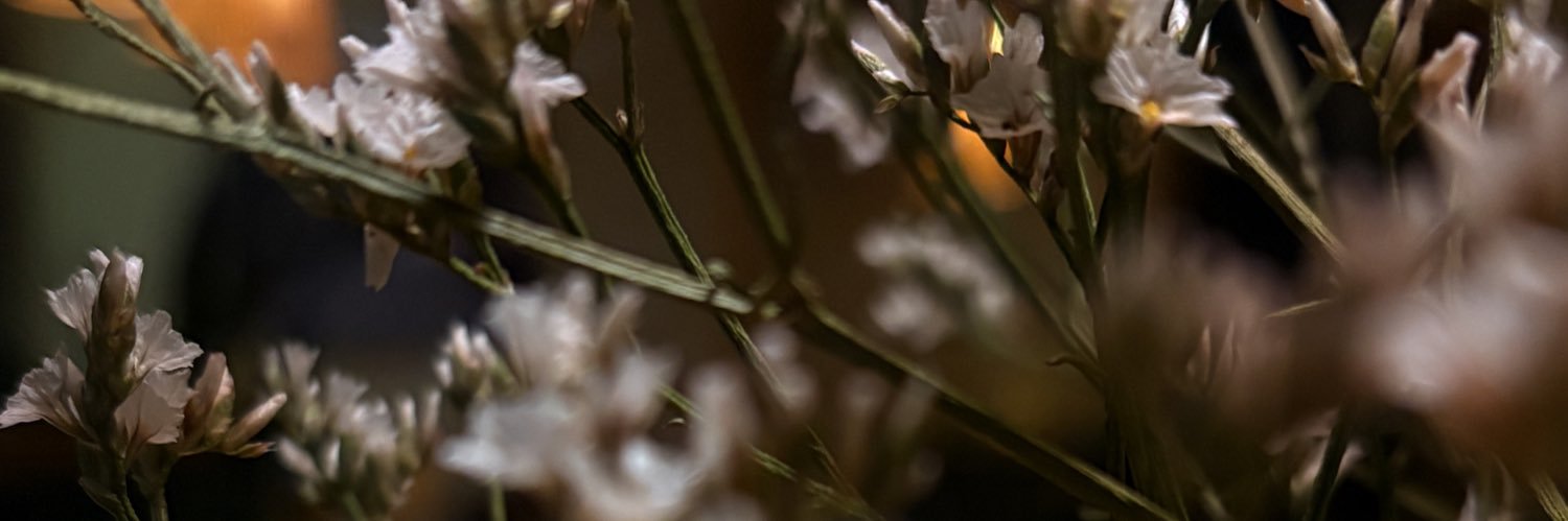 Marwa_9's profile banner image