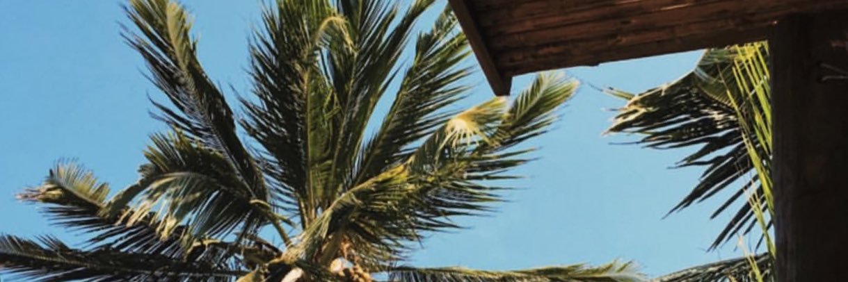 IsabelaCuervo's profile banner image