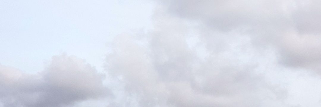 lapinsine 🌿 banner